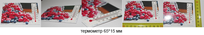 магнит с термометром магнит с термометром
