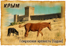 сувенирыне магниты на холодильник судак