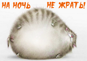 на ночь не жрать магнитик